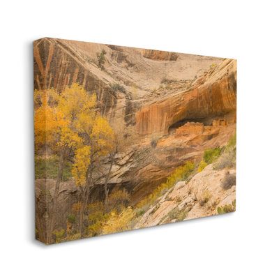 " Desert Foliage Landscape Southwestern Canyon Cliff "