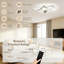 Ceiling Fan-781102998