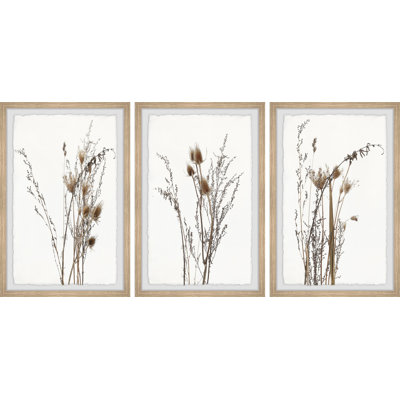 Brown Foliage by Marmont Hill - 3 Piece Single Picture Frame Painting Set