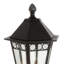 Yorkshire Lantern Head