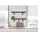 Emerald Lee 2 Piece Oak Bracket Shelf