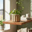 Petit pot à fleurs texturé rond beige brun pour plantes d'intérieur et d'extérieur-125533861-125533859