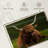 Highland Cow On Grass-107672902