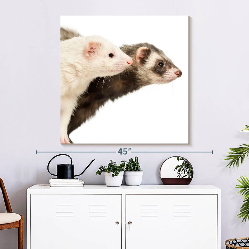 Crowle Two Curious Ferrets, 33" H x 33" W