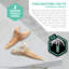 Mini-dent pour requin