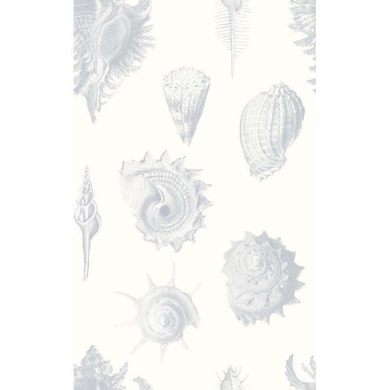 Shell Fossils 33' L x 20.5" W  Wallpaper Roll, Blue