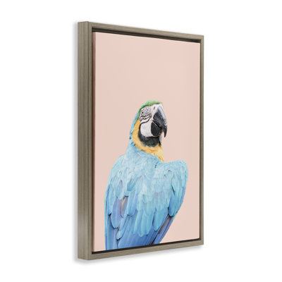 Blue Ara Macaw Framed Floater Canvas by Sisi and Seb