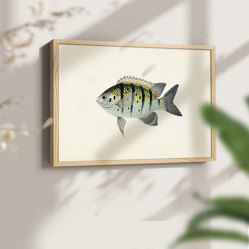 Tropical Fish Collection VI -Framed Print - Restickable, H 8 po x l 10 po, Naturel