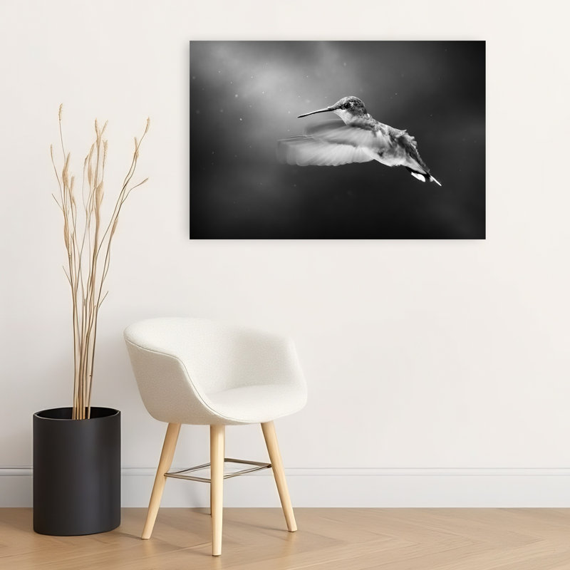 Hummingbird In Flight Delicate Elegant Contemporary Hummingbird Bird Nature Wildlife Wall Art Print by Atul Saluja - Print