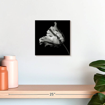Harnek BW Parrot Tulip