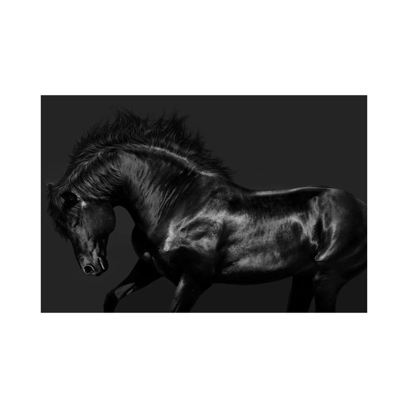 Black On Black by Samantha Carter - Wrapped Canvas Print, 30.48 cm H x 45.72 cm W