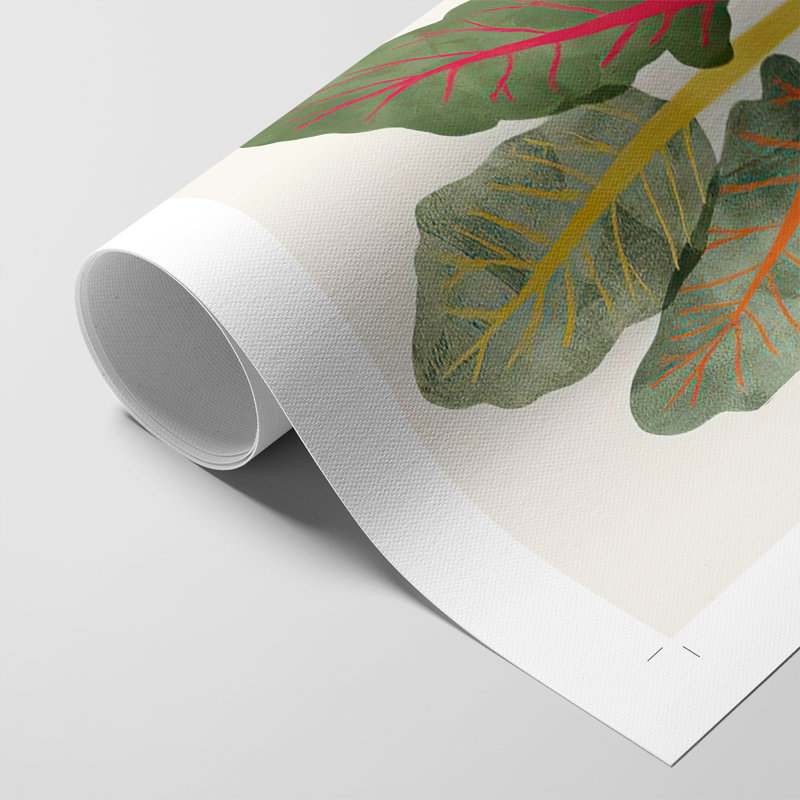 Garden Offert II - Impression sur toile seulement - NON-CADRE, H 18 po x l 12 po