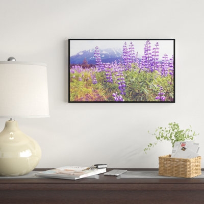 « pâturage en alaska avec des fleurs violettes », reproduction de photo sur toile tendue encadrée