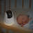 Baby Camera And Monitor