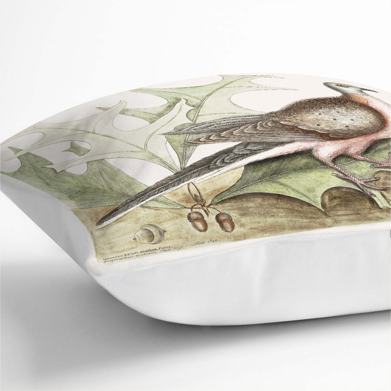 Pigeon of Passage by Mark Catesby Cushion with Filling, White, 40cm H x 40cm W x 15cm D