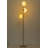 3 - Light Glass Shade Floor Lamp