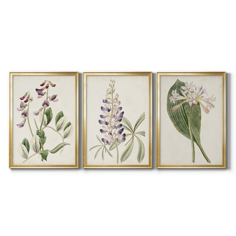 Antique Botanical Collection I - Toile tendue avec châssis sur mesure - 3 pièces, H 21 po x l 30 po, Doré