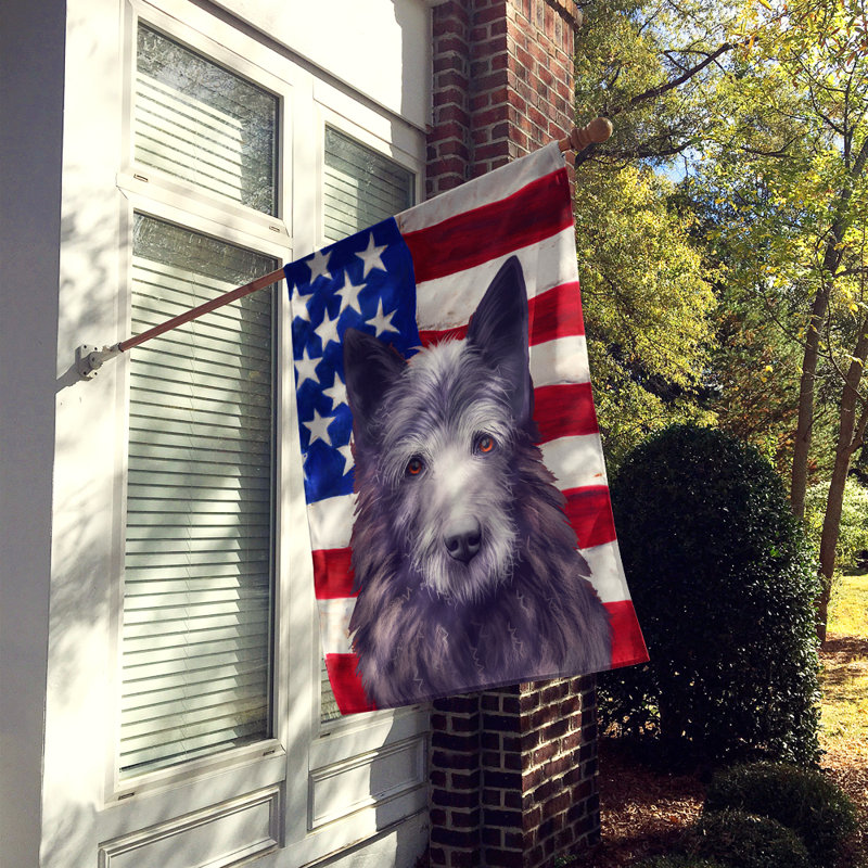 Polyester à 2 côtés 28 x 40 po drapeau maison, Bouvier des Ardennes