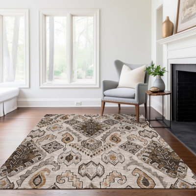 Lummus Washable Moroccan Indoor / Outdoor Rug