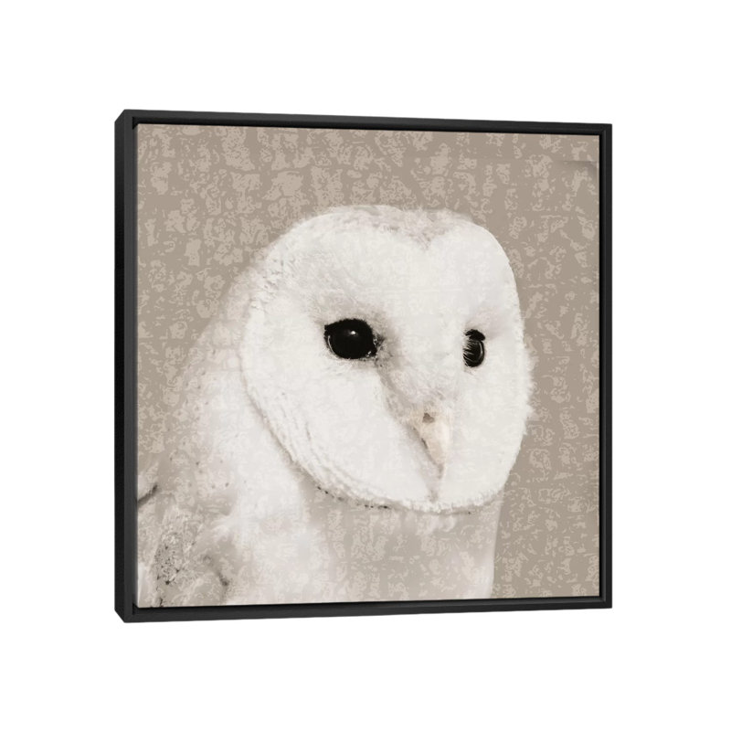 « plumed ii », impression sur toile, H 18 po x l 18 po x P 1,5 po, Toile avec cadre noir, Pas de tapis