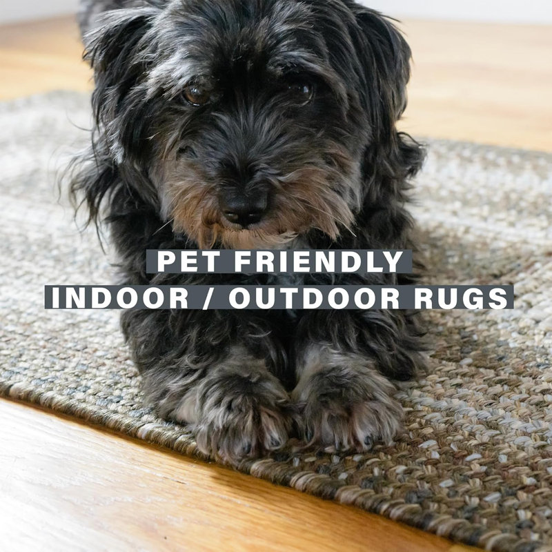  Braided Rug Reversible and Pet Friendly Washable Indoor/Outdoor Ivory/Beige Rug, Rectangle 1'10" x 6'