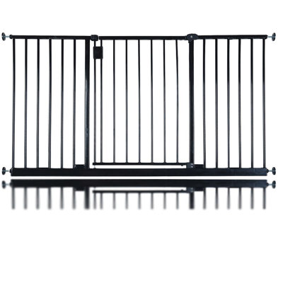 Riga Safety Gate
