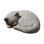 Small Curled Cat Statue