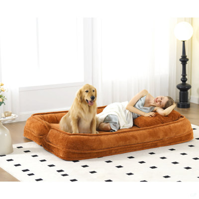 Lit double pour chien humain, canapé paresseux, causeuse, s'adapte à vous et aux animaux de compagnie, très grand canapé de plancher, peut s'asseoir ou s'allonger, position réglable 2 en 1,5, coussin gonflable, 2 sièges, chenille