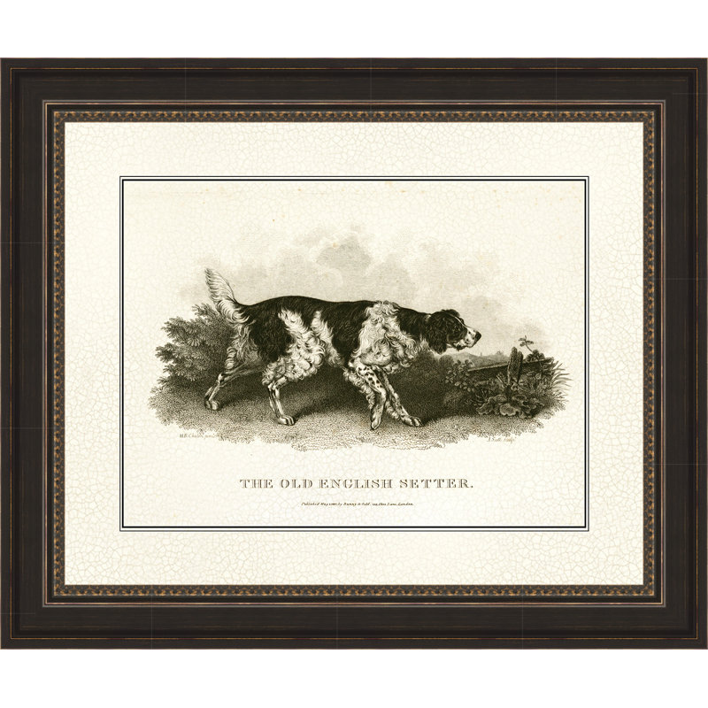 «Antique English Setter», reproduction d'impression encadrée