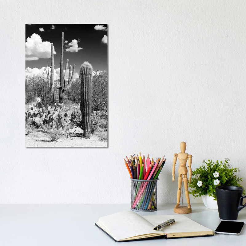 Cactus Desert - Wrapped Canvas Print, 20.32 cm H x 30.48 cm W