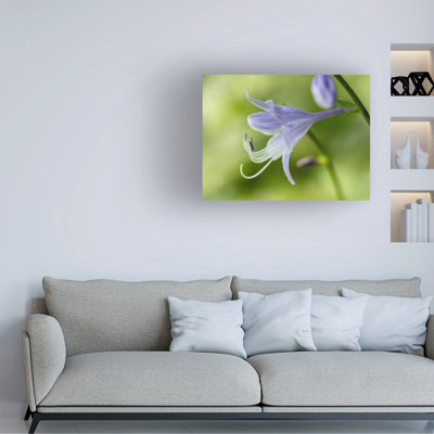 Suzanne Bonin Purple Hosta Flower Canvas Art