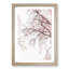 A Pink Cherry Blossom Tree Abstract - Picture Frame Painting Print-56738643-56738644