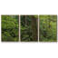 Calme de la forêt, peinture sur toile 3 pièces-775100339-775100338