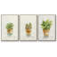 Succulent I, encadré sur toile, 3 pièces-163068308-163068309