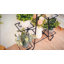 Anghelina Plant Stand