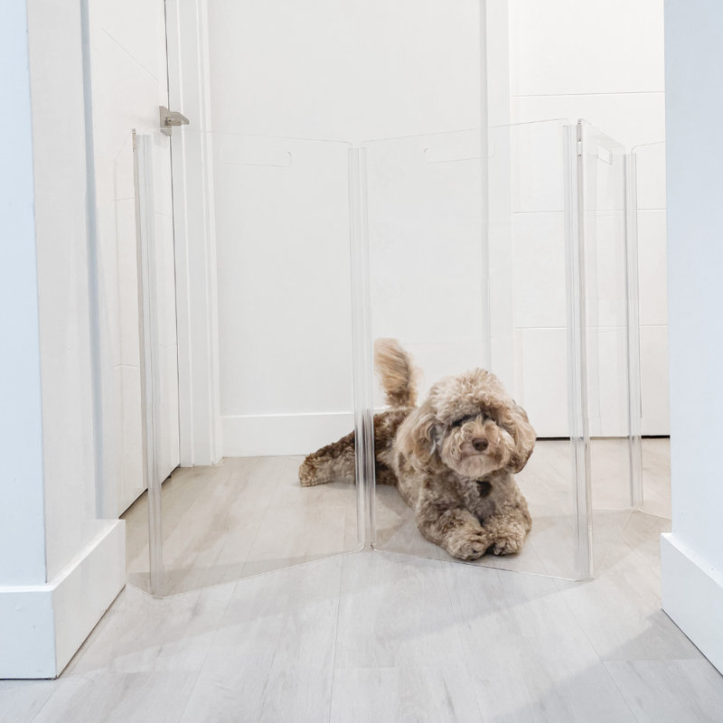Clear Zig Zag Pet Gate Acrylic Adjustable Pressure Mounted Pet Gate Free Standing Pet Gate Wall Mounted Pet Gate Pet Gate Accessory With Door