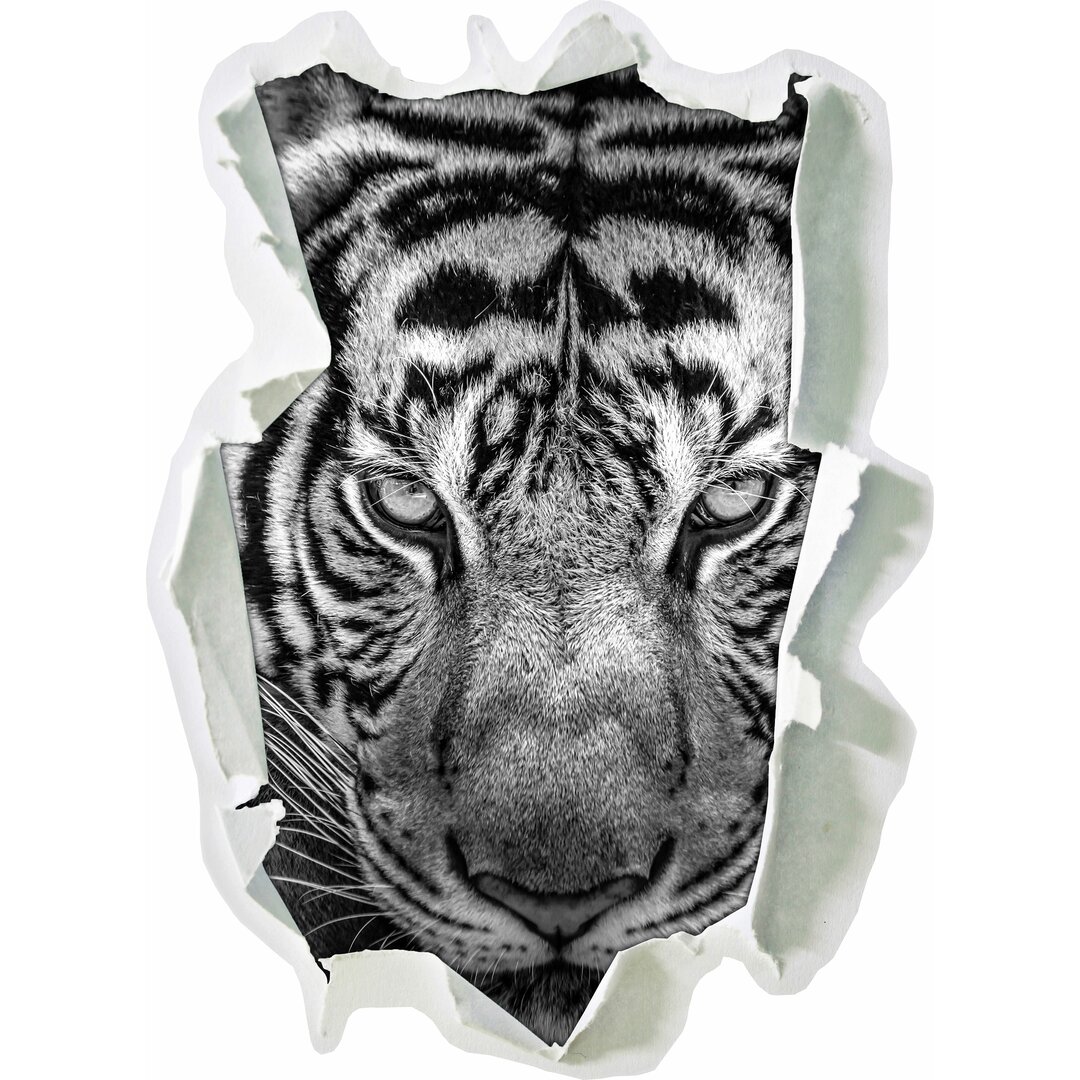 Wandtattoo Tiger mit hellbraunen Augen