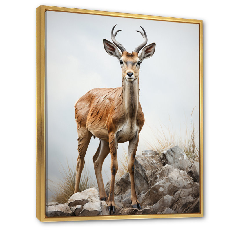Graceful Antelope III - Imprimé, H 32 po x l 24 po x P 1 po, Cadre flottant doré
