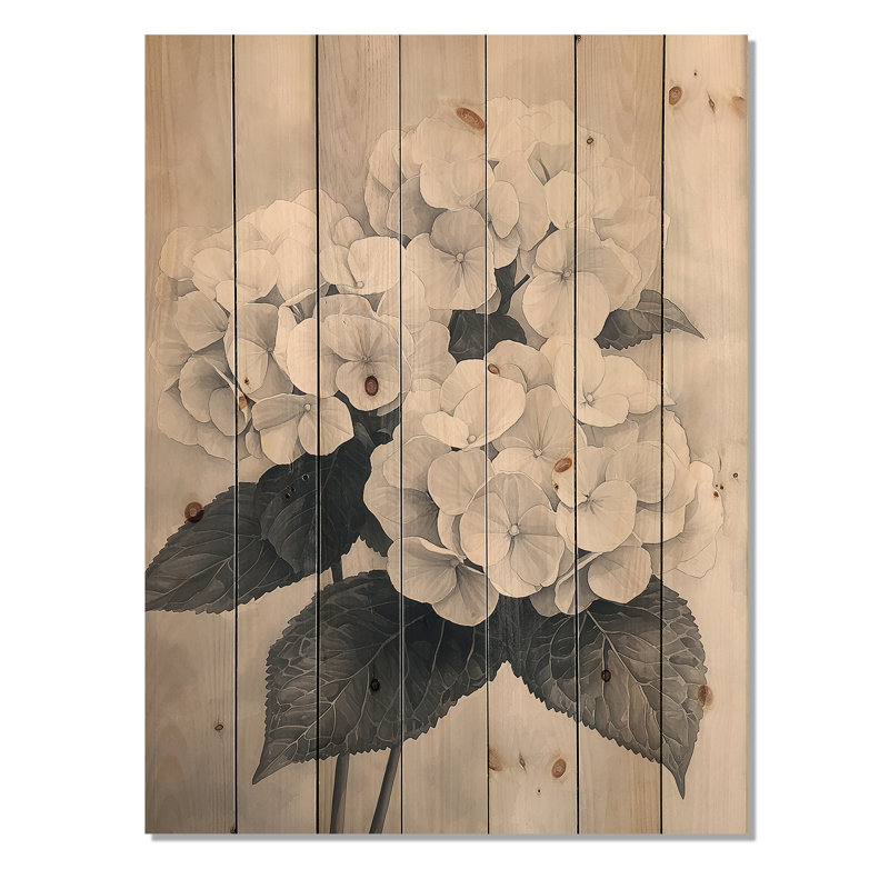 Vintage Hydrangea In Monochrome II - Hydrangea Wood Print - On Natural Pine Wood, 40" H x 30" W x 0.78" D