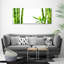 Bamboo - No Frame Print on Canvas