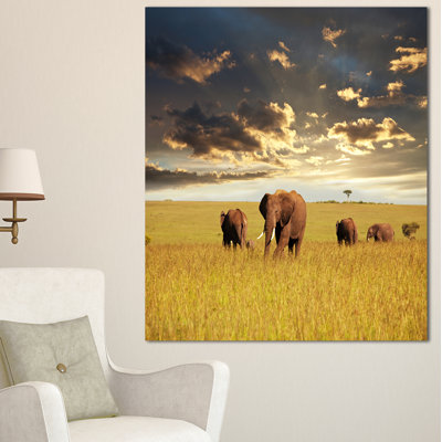 " Group Of Elephants In Africa "