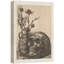 Crâne rétro et chardon plante Moody foncé, œuvres d'art moderne, décor-101165753-101165752