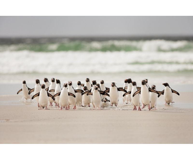 Wrapped Canvas Print, 50.8 cm H x 76.2 cm W