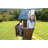 Castlebrook Wooden Play Swing Set