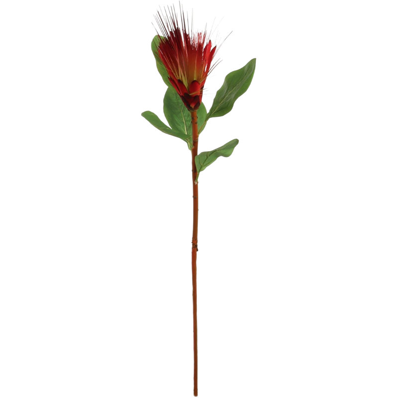 3 pièces 30 "orange Royal Protea vaporisateur