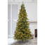 Carolina Fraser Artificial Christmas Tree Clear Lights-1743936526