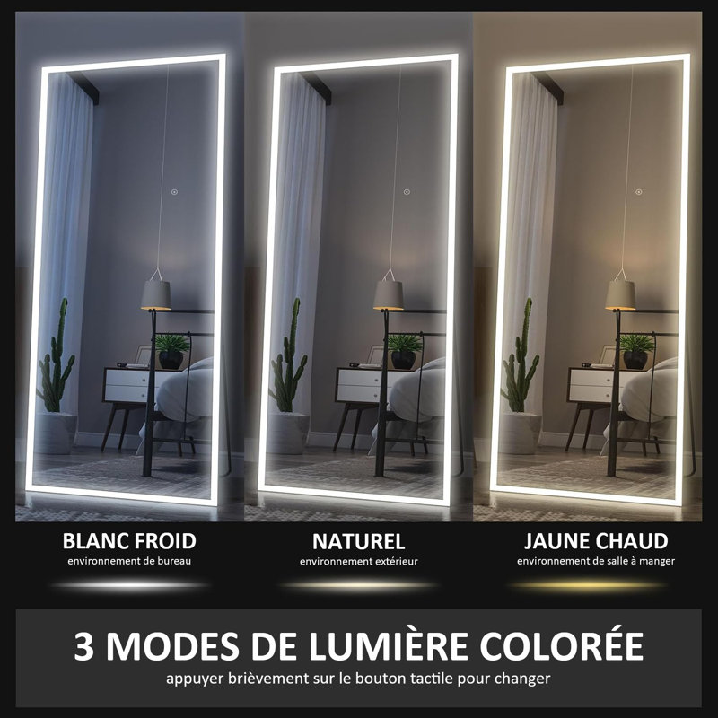 165x60cm Full Length Floor Standing Mirror with LED Light, Dimmable Color and Brightness Adjustable