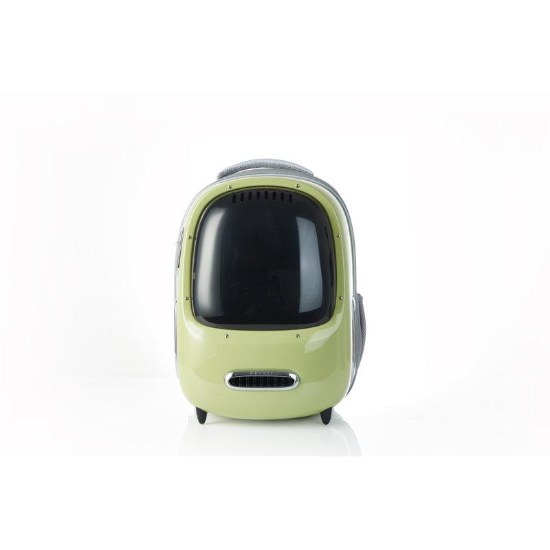 2 Cat Carrier, Green