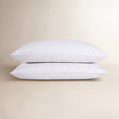 Plush Feather Pillow