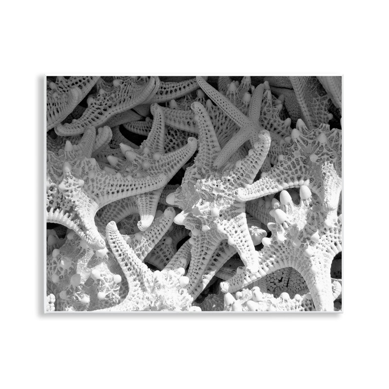 "Nautical Starfish Pile" par Jairo Rodriguez